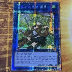 2026年最新】蒼翠の風霊使いウィンの人気アイテム - メルカリ