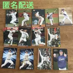 2023プロ野球チップス 西武ライオンズ　19枚セット
