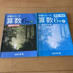 ★中学受験算数追込みに超お勧め　四谷大塚　予習シリーズ 算数　6年下　難関校対策
