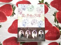 愛と青春の宝塚 恋よりも生命よりも DVD 2枚組 - メルカリ