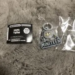 SEVENTEEN miniteen ぷっくりめじるしアクセサリー ノンバ