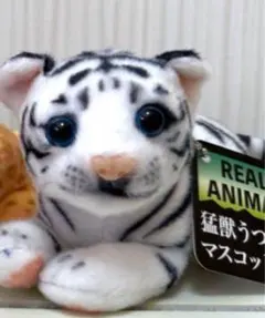 【たかねこ19様専用】