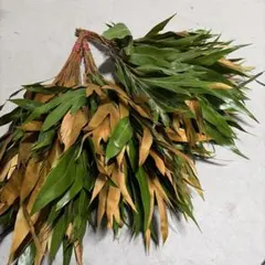 PETAL.様 リクエスト 2点 まとめ商品