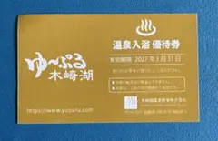 ゆ〜ぷる木崎湖 温泉入浴優待券
