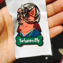 Yor kshie Elly 三代目dogs