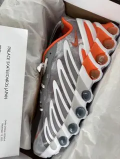 PALACE x Nike Air Max DN8 