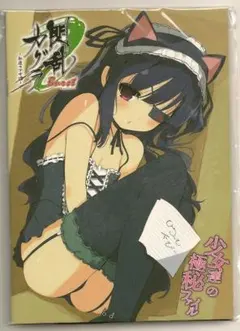 閃乱カグラ Burst -紅蓮の少女達 少女達の極秘ファイル+CD付き
