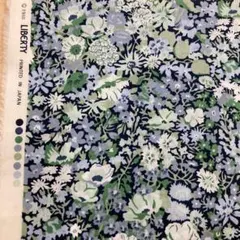 Item thumbnail for item ef5538fc-3334-49e7-91da-edb23569553a