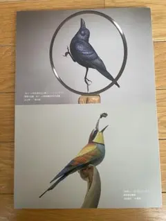 2026年最新】バードカービングの人気アイテム - メルカリ