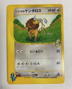 シジマのケンタロス ● ポケモンカード★VS 036/141