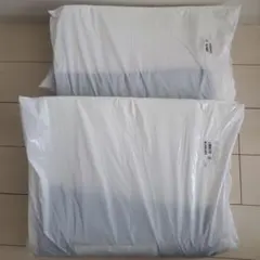 【新品未使用品】トゥルースリーパー　ごろ寝マット 2セット