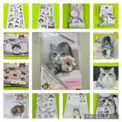 【即購入可能】もちまる　セットのサムネイル