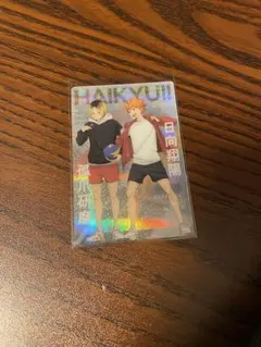 ハイキューウエハース5 孤爪研磨、日向翔陽