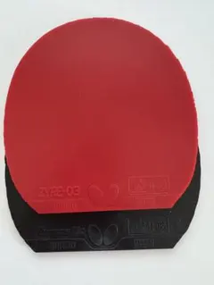 卓球 ディグニクス09c ザイアー03 2枚セット