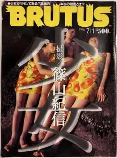 篠山紀信 アート
