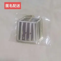 ちいかわ 島の思い出 メタルキーホルダーコレクションのサムネイル