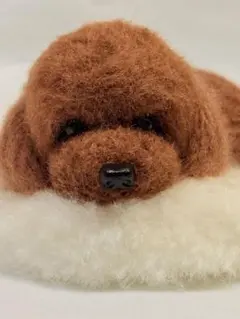 【ひなたぼっこ❤︎*.(๓´͈꒳`͈๓).*❤︎プー】トイプードル毛糸+羊毛フェルト