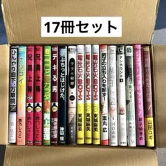 まとめ売り　BLコミック17冊セット