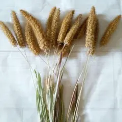 imaruya_108様 リクエスト 2点 まとめ商品