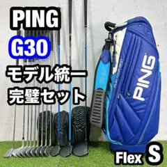 BALENCIAGA PURODUCED BY DUNLOP 8本 Lシャフト - メルカリ