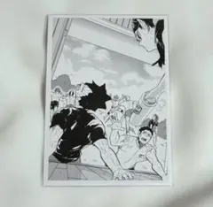 ハイキュー!! クロニクル フォトカード 黒尾鉄朗 澤村大地 清水潔子 孤爪研磨