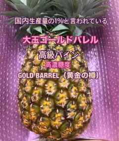 沖縄県産 希少 ゴールドバレル 6〜8玉（7kg） 【7/21〜7/27収穫