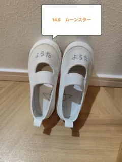 Item thumbnail for item 4ad81469-37c8-4a23-bd21-e31a46f6e699