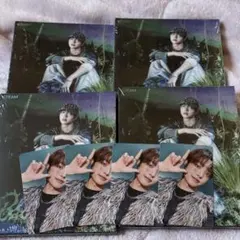 &TEAM Backtolife ROAR 未開封 アルバム ソロジャケット