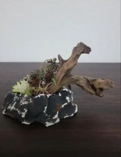 ペトリファイドウッド 珪化木 お香立て パロサント 受け皿 - メルカリ