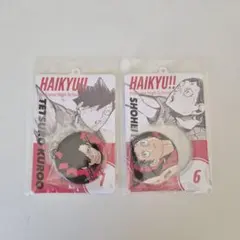 ハイキュー 缶バッジ＆特製ホルダーコレクション 黒尾鉄朗 福永招平