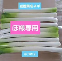 ぽ様専用です！減農薬冬ネギ