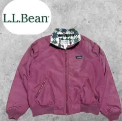 Item thumbnail for item 932abf27-42a7-4856-8b02-a3c3353c17e7