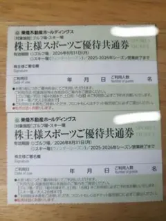 東急不動産ホールディングス　株主様スポーツご優待共通券　2枚