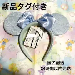 【新品タグ付き】ディズニー ブルーエバーアフター カチューシャ