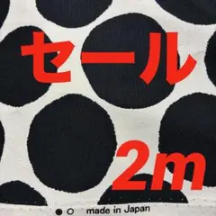 オックス生地　ドット柄