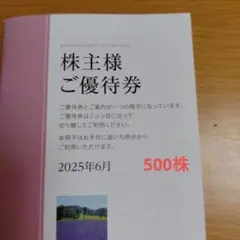 東急不動産HD　株主優待　500株以上１０００株未満