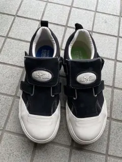 最終価格ALL STAR WATARU TOMINAGAのサムネイル