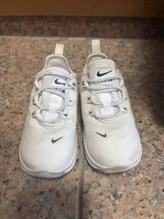 Nike Air Max ホワイト スニーカー