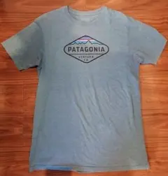 パタゴニア　PATAGONIA　Tシャツ