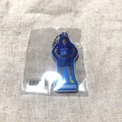 大阪ブルテオン　ガチャ　山本選手