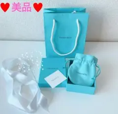 ♥美品♥ティファニー空箱 巾着袋 ショップ袋 カード リボン Tiffany♥♥