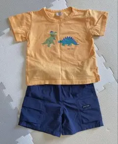 プティマイン　恐竜プリントTシャツ　水陸両用パンツ　セット