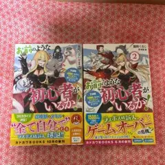 お前のような初心者がいるか