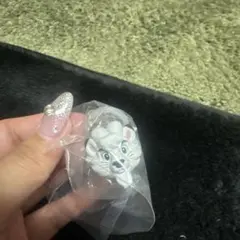 かずきち様 リクエスト 2点 まとめ商品