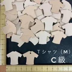 ヌメ革　Tシャツ（M）Ｃ級　３５枚セット