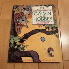 The Indispensable Calvin and Hobbes