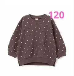 Item thumbnail for item 9772e4a8-cc47-4948-99c6-4be27bfb9136