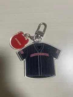 東京スカパラダイスオーケストラ スカパラ 甲子園 加藤隆志 アクリル