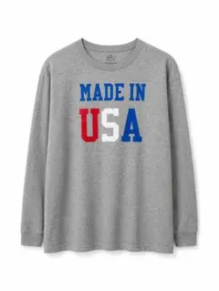 Fruit of the Loom MADE IN USA スウェット Lサイズのサムネイル
