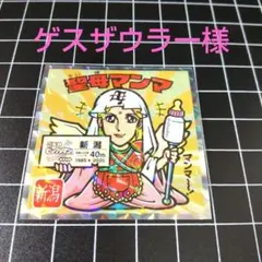 ゲスザウラー様 リクエスト 2点 まとめ商品